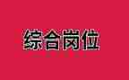 综合岗半年度工作总结优秀8篇