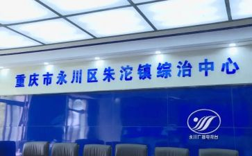 110综治工作总结6篇