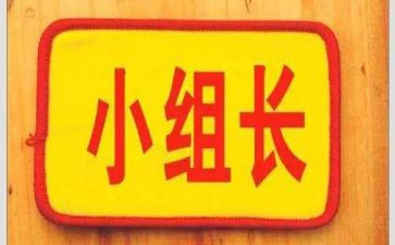 组长作工作总结模板8篇