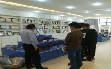 组织室工作总结6篇